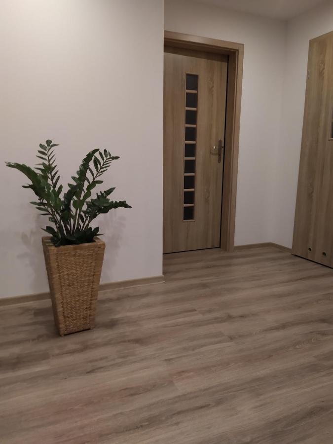 Apartament Kaola Jelenia Gora Exterior photo